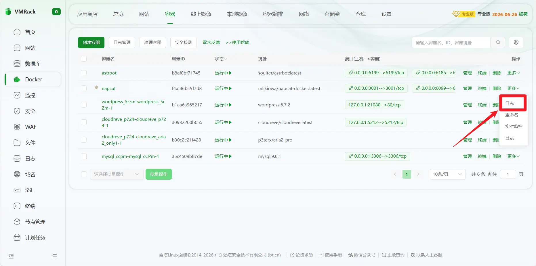 查看 NapCat 日志